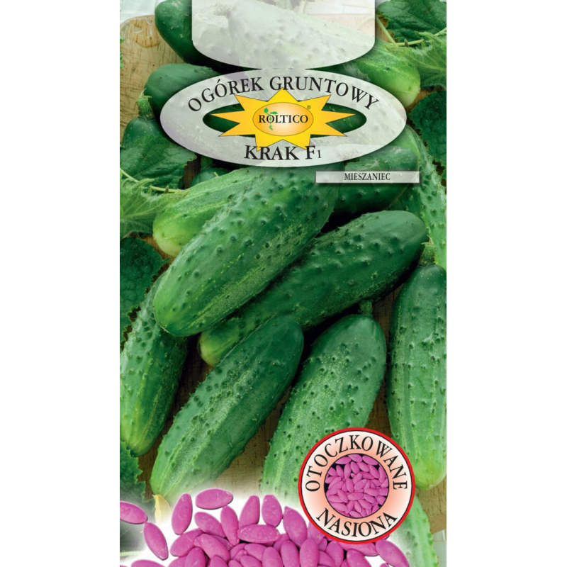 Ogórek gruntowy Krak F1 50 nasion Roltico