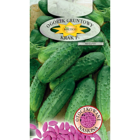 Ogórek gruntowy Krak F1 50 nasion Roltico