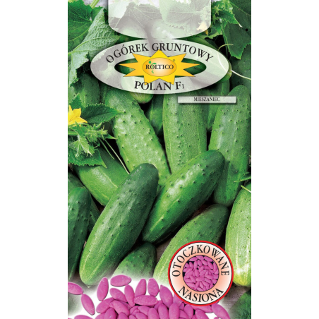 Ogórek gruntowy Polan F1 50 nasion Roltico