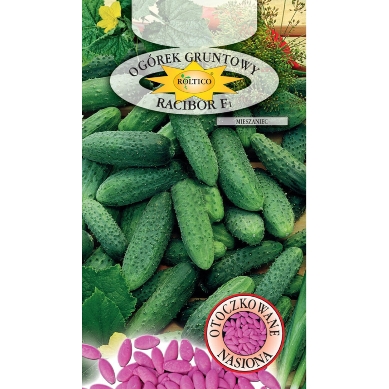 Ogórek gruntowy Racibor F1 50 nasion Roltico