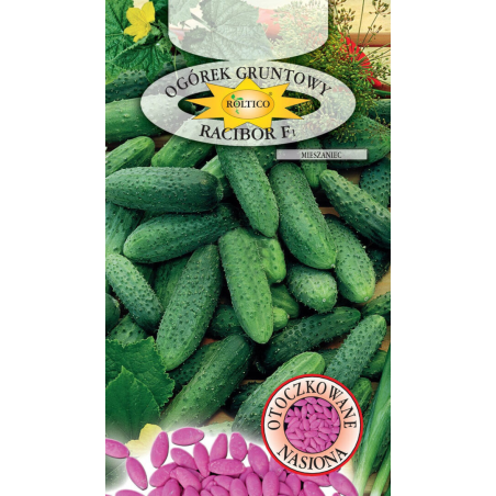 Ogórek gruntowy Racibor F1 50 nasion Roltico