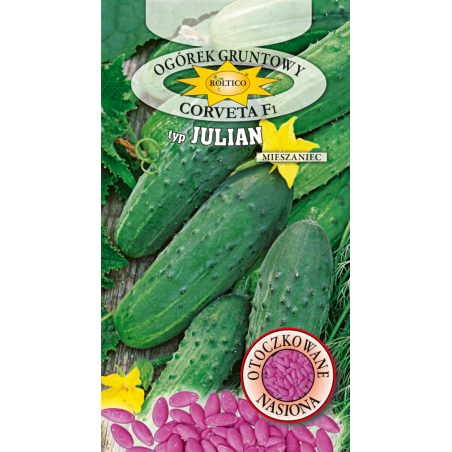 Ogórek gruntowy Corveta F1 50 nasion Roltico