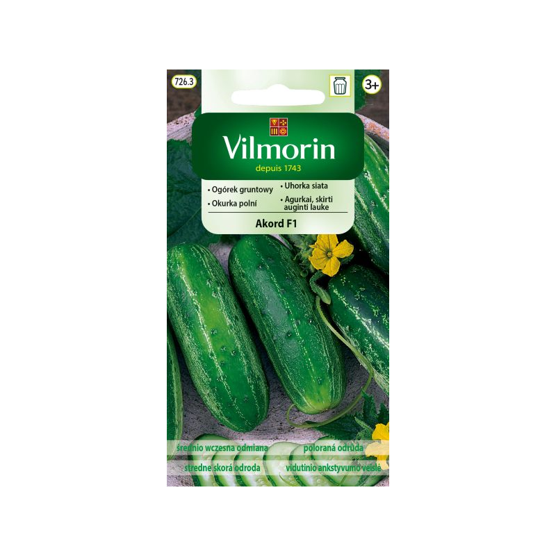 Ogórek gruntowy Akord F1 20 nasion Vilmorin