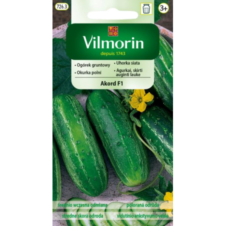 Ogórek gruntowy Akord F1 20 nasion Vilmorin