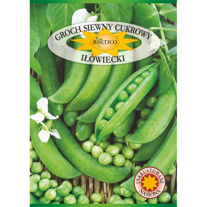 Groch siewny cukrowy Iłówiecki 40g Roltico