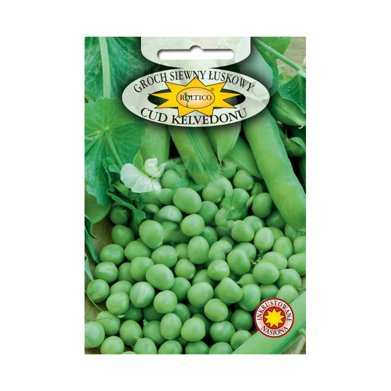 Groch siewny łuskowy Cud Kelvedonu 40g Roltico