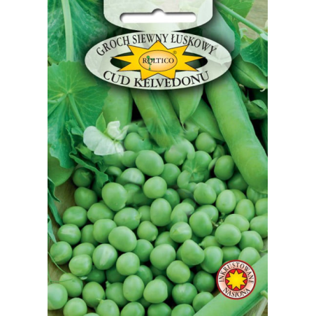 Groch siewny łuskowy Cud Kelvedonu 40g Roltico