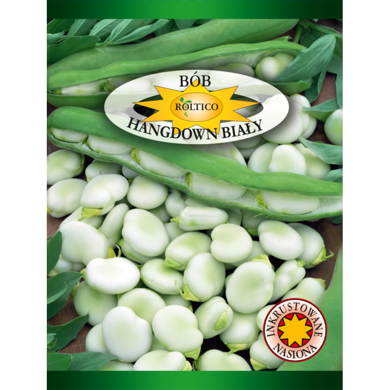 Bób Hangdown Biały 40g Roltico