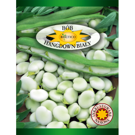 Bób Hangdown Biały 40g Roltico