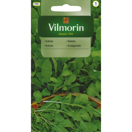 Rukola 3g Vilmorin