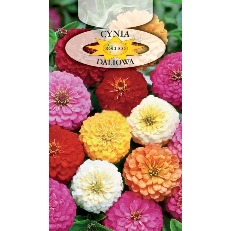 Cynia Daliowa mix 1g Roltico