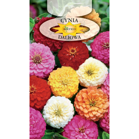 Cynia Daliowa mix 1g Roltico