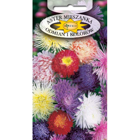 Aster mix odmian i kolorów 1g Roltico