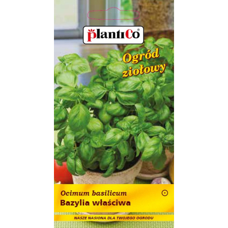 Bazylia właściwa 1g PlantiCo