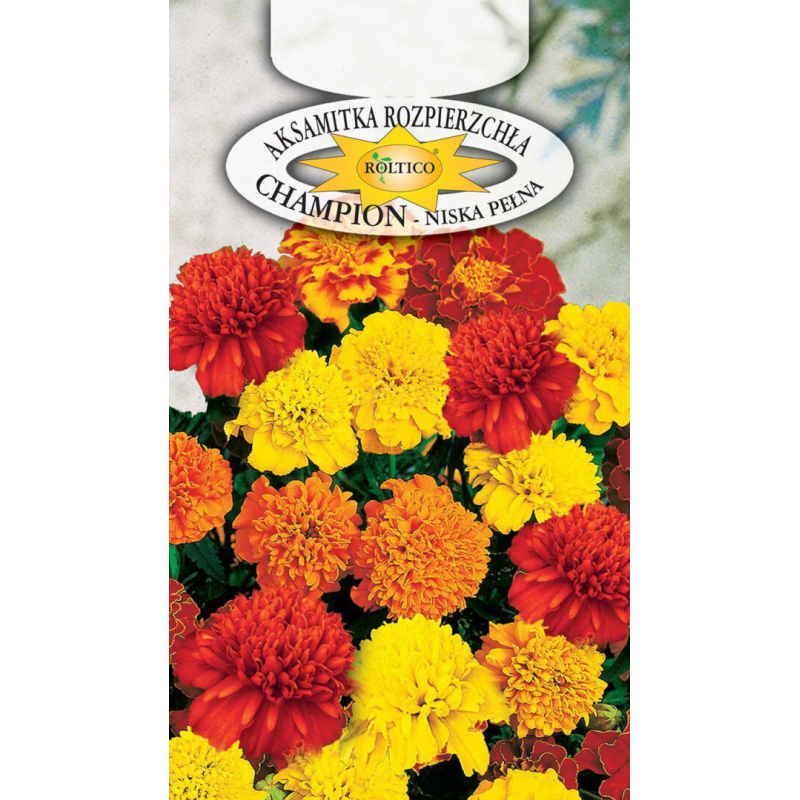 Aksamitka rozpierzchła pełna Champion 0,3g Roltico