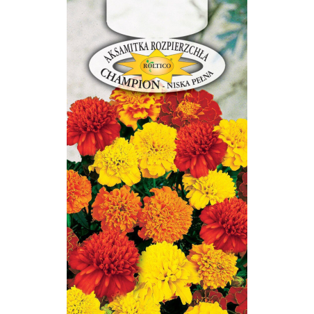 Aksamitka rozpierzchła pełna Champion 0,3g Roltico