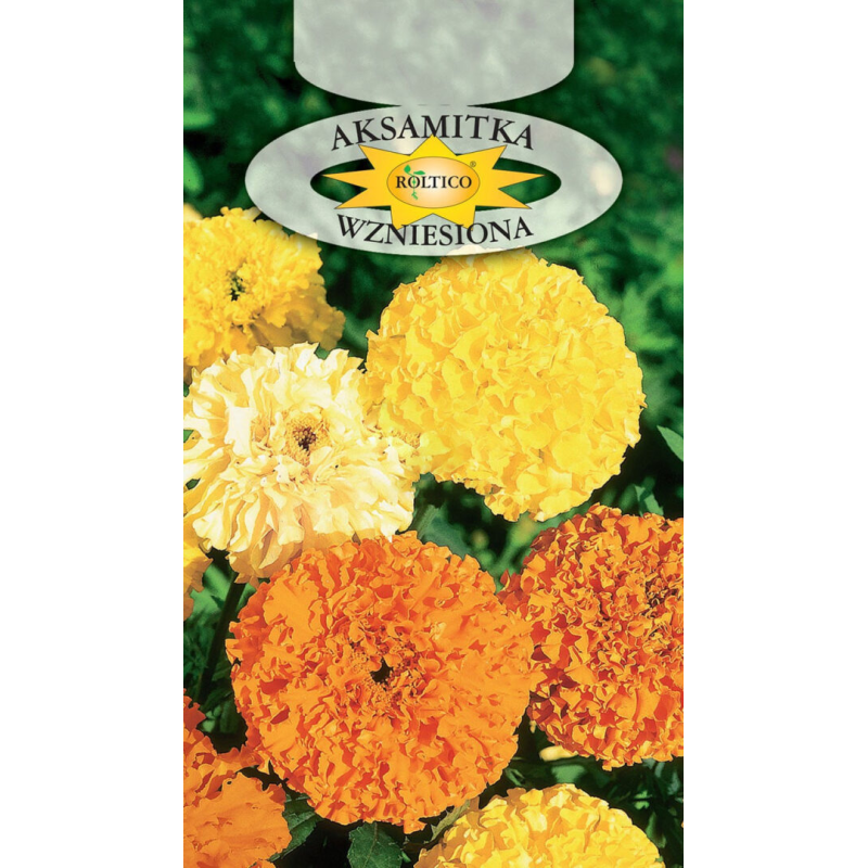 Aksamitka Wzniesiona mix 1g Roltico