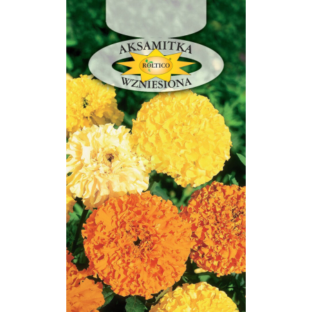 Aksamitka Wzniesiona mix 1g Roltico