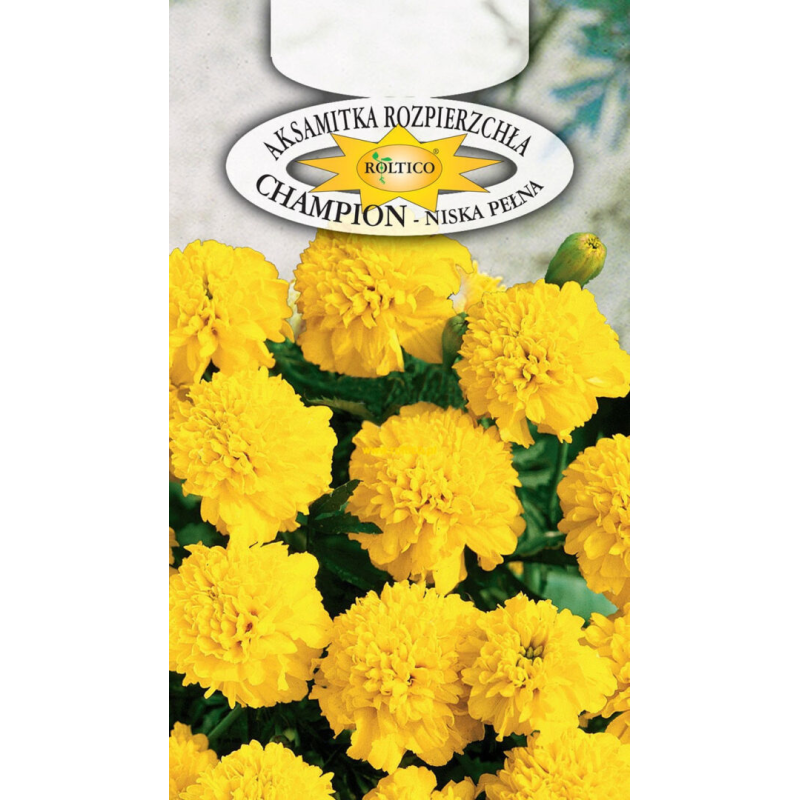 Aksamitka rozpierzchła niska pełna Champion 0,3g Roltico