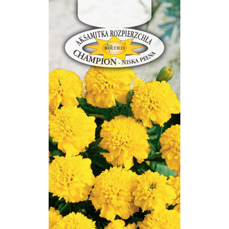 Aksamitka rozpierzchła niska pełna Champion 0,3g Roltico