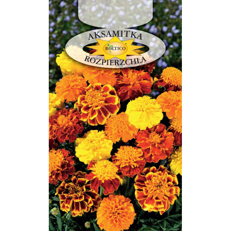 Aksamitka Rozpierzchła mix 1g Roltico