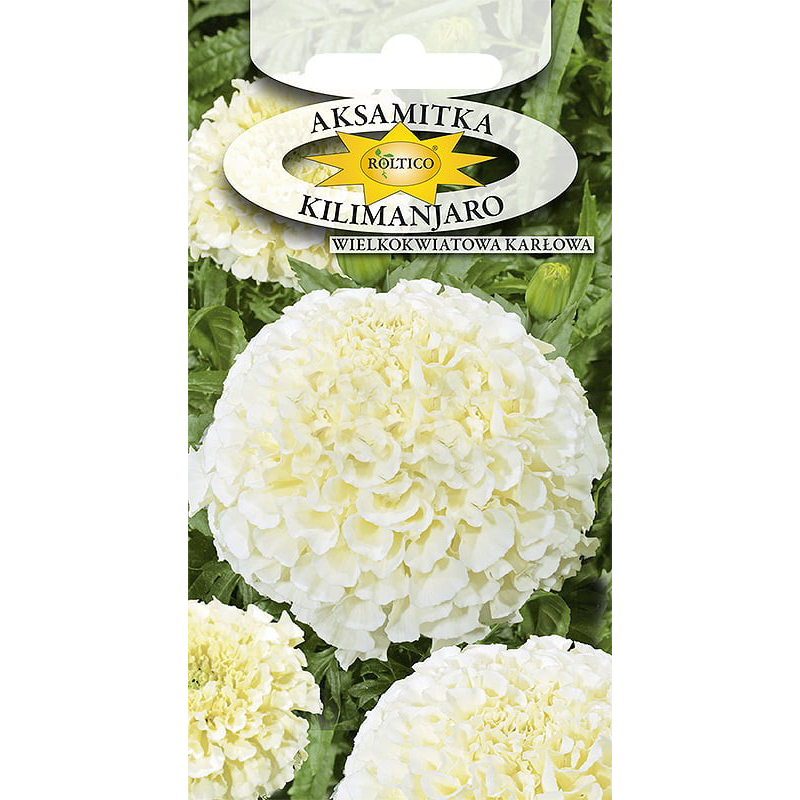 Aksamitka wielokwiatowa Kilimanjaro 0,3g Roltico