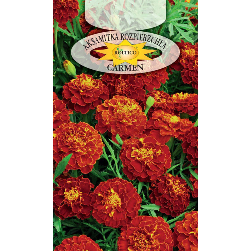 Aksamitka rozpierzchła Carmen 1g Roltico