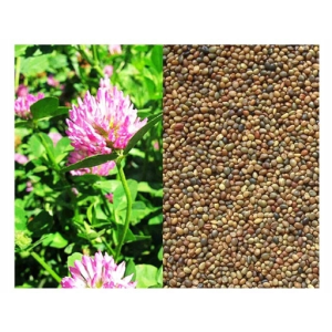 Koniczyna perska Vittoria 1Kg Plantator