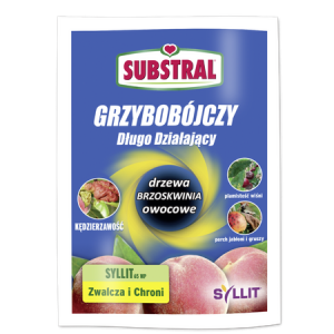 Syllit 65 WP 45g Substral