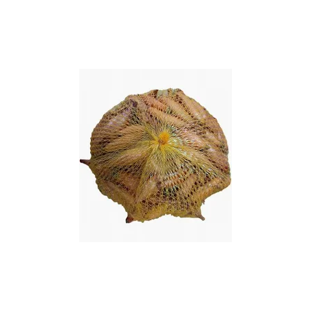 Cebula Dymka Szalotka 0,25kg