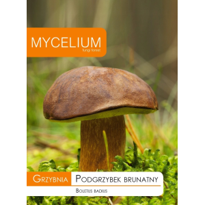 Grzybnia Podgrzybek Brunatny 10g Mycelium
