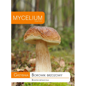 Grzybnia Borowik Brzozowy 10g Mycelium