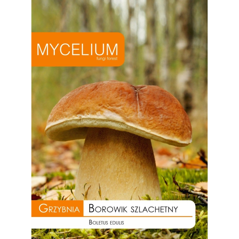 Grzybnia Borowik Szlachetny 10g Mycelium