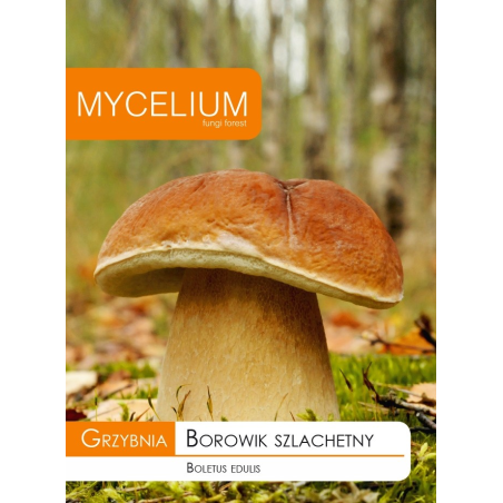 Grzybnia Borowik Szlachetny 10g Mycelium