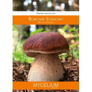 Grzybnia Mikoryzowa Borowik Sosnowy 60ml Mycelium