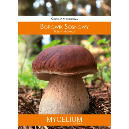 Grzybnia Mikoryzowa Borowik Sosnowy 60ml Mycelium