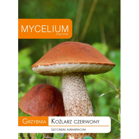Grzybnia Koźlarz Czerwony 10g Mycelium