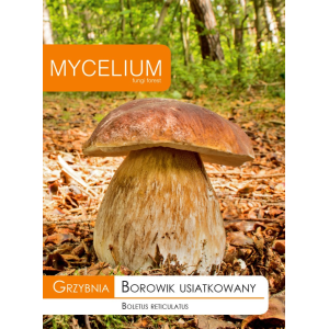 Grzybnia Borowik Usiatkowany 10g Mycelium