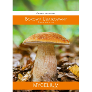 Grzybnia Mikoryzowa Borowik Usiatkowany 60ml Mycelium