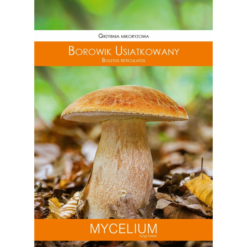 Grzybnia Mikoryzowa Borowik Usiatkowany 60ml Mycelium