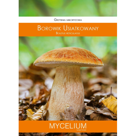 Grzybnia Mikoryzowa Borowik Usiatkowany 60ml Mycelium