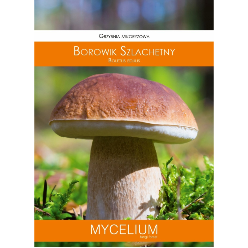 Grzybnia Mikoryzowa Borowik Szlachetny 60ml Mycelium