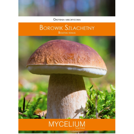 Grzybnia Mikoryzowa Borowik Szlachetny 60ml Mycelium