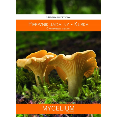 Grzybnia Mikoryzowa Pieprznik Jadalny Kurka 120ml Mycelium