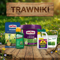 Trawniki