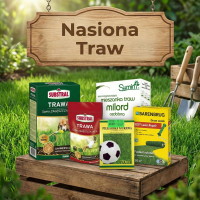 Nasiona Traw - Trawniki Dekoracyjne, Sportowe i Odporne na Suszę | Sklep
