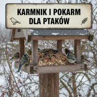 Karmniki i Pokarmy dla ptaków