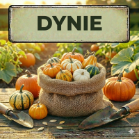 Nasiona Dyni - Najlepsze Odmiany Jadalne i Ozdobne | Sklep Ogrodniczy