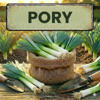 Nasiona Pora - Najlepsze Odmiany Letnie i Zimowe | Sklep Ogrodniczy