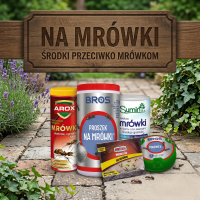 Środki na Mrówki - Skuteczne Preparaty, Proszki i Żele